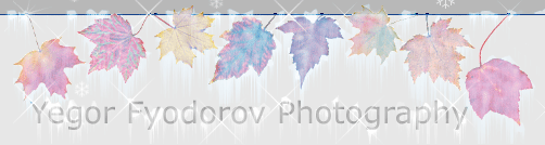 Yegor Fyodorov Photography