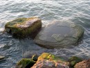 Rocks on shore of Lake Erie